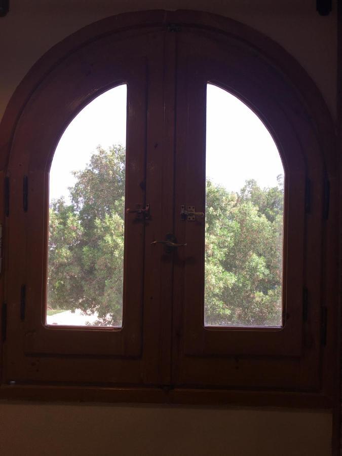 Dahab Home Bed&Breakfast Zewnętrze zdjęcie